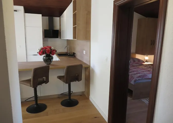 Amfa 비오그라드나모루